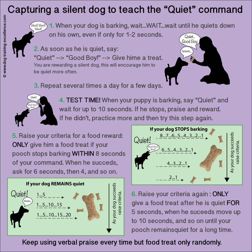 How to Train a Dog to Stop Barking on Command